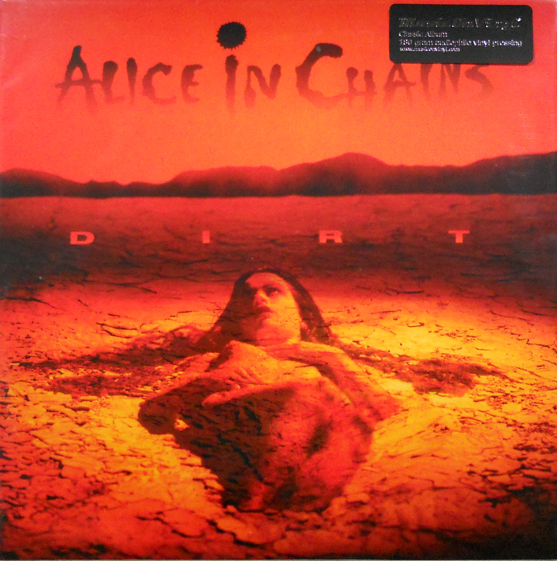 alice in chains dirt album cover alice in chains dirt album cover