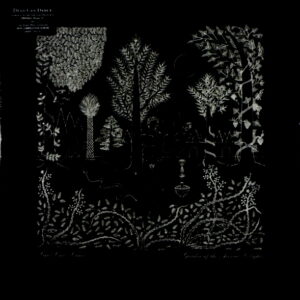 DEAD CAN DANCE garden of the arcane delights LP