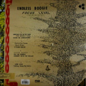 ENDLESS BOOGIE focus level LP