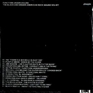 VARIOUS ARTISTS function underground LP