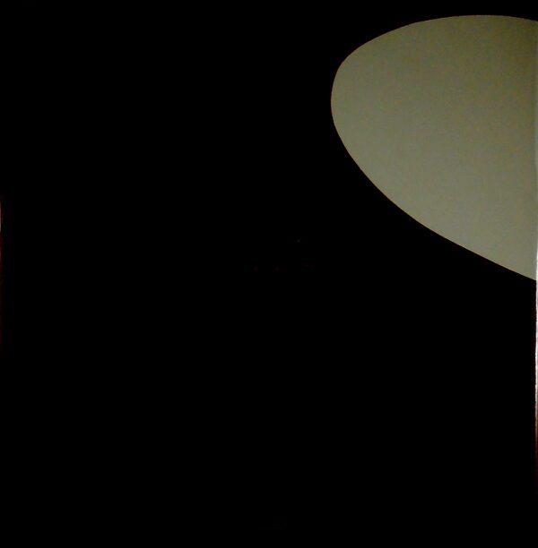 LED ZEPPELIN 2 - remastered lp LP back