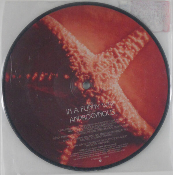 mercury rev in a funny way 7 inch pic disc