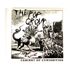 POP GROUP, THE cabinet of curiosities CD