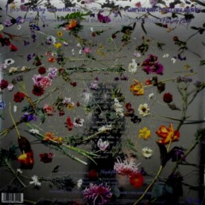 PRINCE purple rain - with poster LP