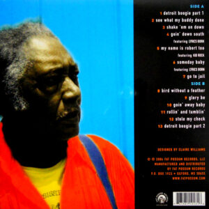 BURNSIDE, R.L. a bothered mind LP back