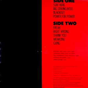 swans filth usa poster lp