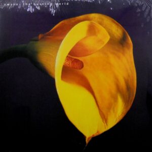 swans_burning_world_lp